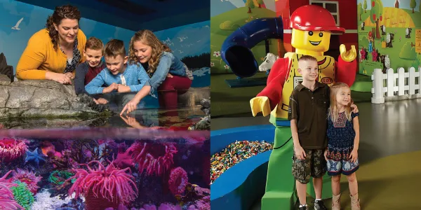 Combo Ticket SEA LIFE & LEGOLAND Discovery Center