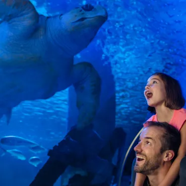 Membership | SEA LIFE Aquarium